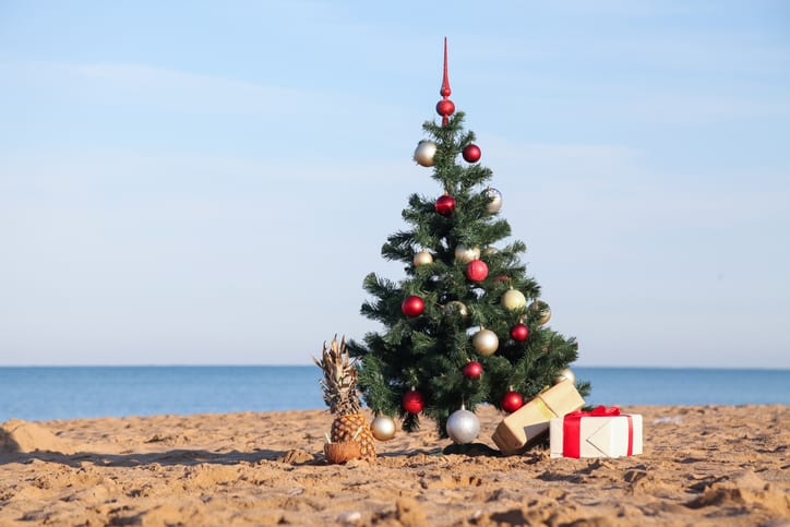 Christmas tree on Myrtle beach in december